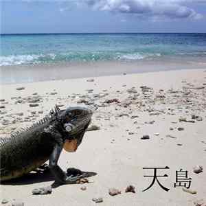 天 Album
