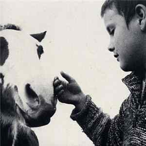Kes - EPs 1999 - 2002 Album