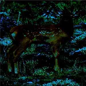 Keys Cut - Fall Asleep Already Album
