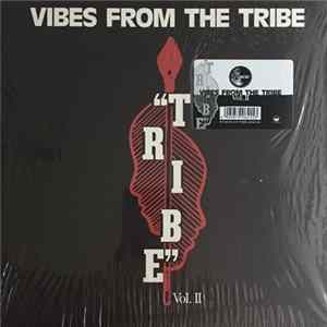 Various - Vibes From The Tribe Vol. II Album