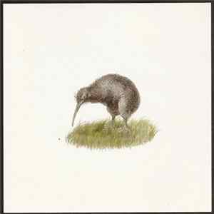 El Oso - Whichever Chapter Covers Now Album