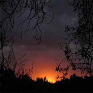 Pascal Wyse - Barbialla Album