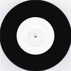 Red Hot Chili Peppers - Scar Tissue / Quixoticelixer Album
