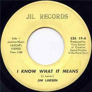 Jim Larsen - I Know What It Means Album