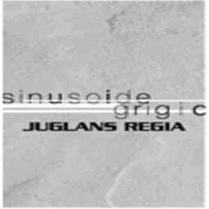 Juglans Regia - Sinusoide / Grigio Album