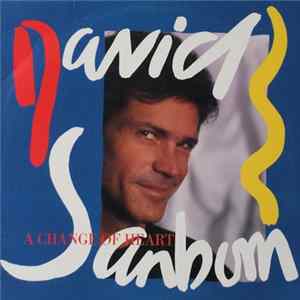 David Sanborn - A Change Of Heart Album