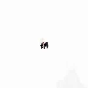 Channel No One - CN0_EP1_SBR005​.​zip Album