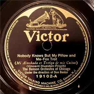 The Benson Orchestra Of Chicago - Nobody Knows But My Pillow And Me / I Never Miss The Sunshine (I'm So Used To The Rain) Album