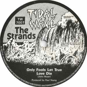 The Strands - Only Fools Let True Love Die Album
