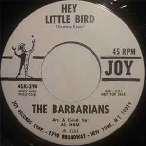 The Barbarians - Hey Little Bird / You've Got To Understand Album
