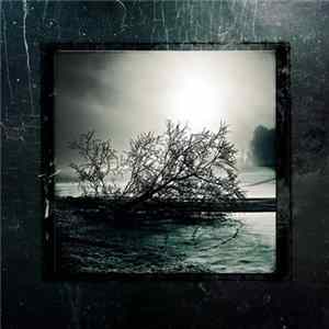 B.T.T., Like Desolate Like True, Nihilism , Erkhrankung - B.T.T. / Like Desolate Like True / Nihilism / Erkhrankung Album