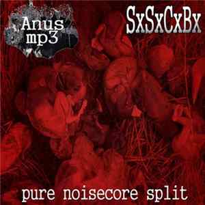 ANUS MP3 / SxSxCxBx - Pure Noisecore Split Album