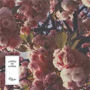 El Búho - Camino De Flores Album