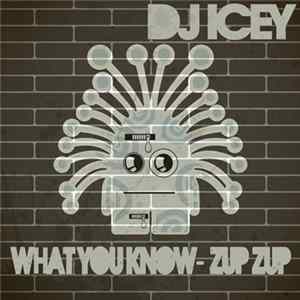 DJ Icey - What You Know / Zup Zup Album