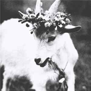 Alahuta - A Hack In The Woods Album