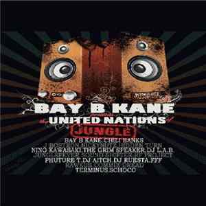 Various - United Nations Of Jungle Album