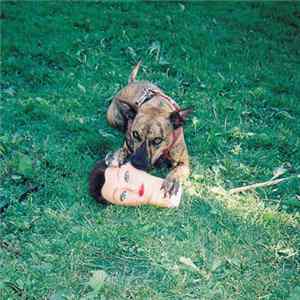Joyce Manor - Cody Album