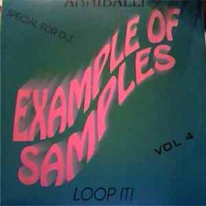 Anniballi - Example Of Samples Vol 4 Album