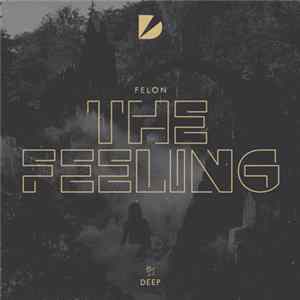 Felon - The Feeling Album