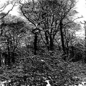 Forest Grave / Thunorsleap - Forest Grave / Thunorsleap Album