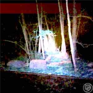c0bra - Purgatory Paralysis Album