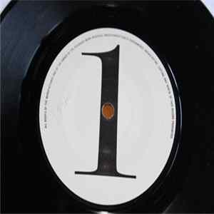 Sting - Love Is The Seventh Wave (New Mix) Album