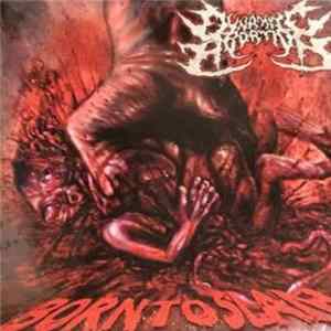 Dynamite Abortion - Born To Slam Album