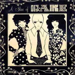 The Cake - A Slice Of The Cake Album