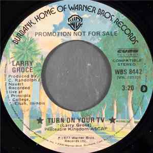 Larry Groce - Turn On Your TV Album