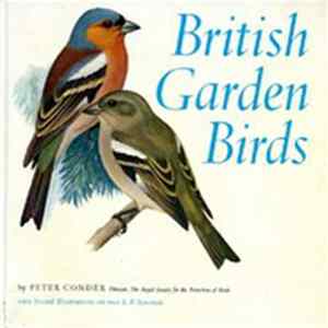 No Artist - British Garden Birds Album
