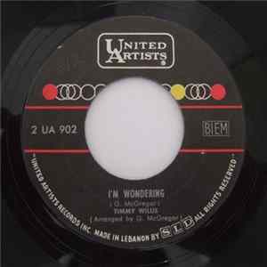 Timmy Willis - Mr Soul Satisfaction / I'm Wondering Album