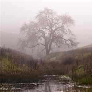 Procer Veneficus - Deathwanderings Album