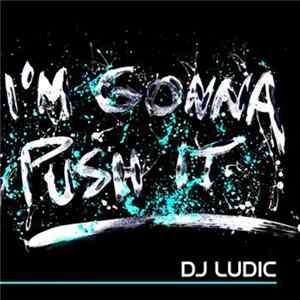 DJ Ludic - I'm Gonna Push It Album