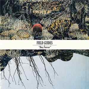 Field Guides - Boo, Forever Album