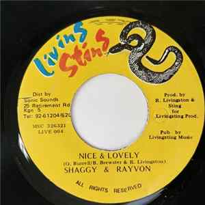 Shaggy & Rayvon - Nice & Lovely Album