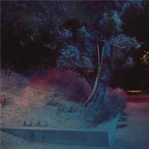 The Gentleman Losers - Permanently Midnight Album