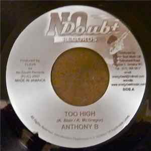 Anthony B / Prestige - Too High / Feelings Album