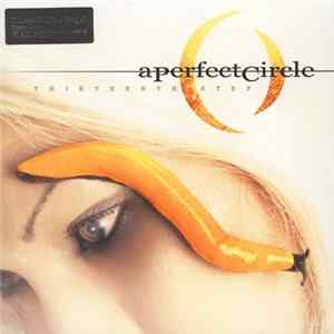 A Perfect Circle - Thirteenth Step Album