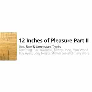 Various - 12 Inches Of Pleasure Part II (BBE Rare & Unreleased Tracks) Album