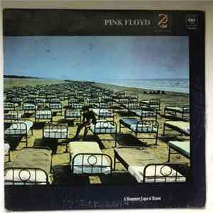 Pink Floyd - A Momentary Lapse Of Reason Album