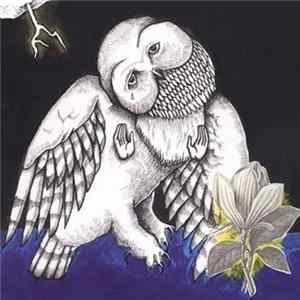 Songs: Ohia - The Magnolia Electric Co Album