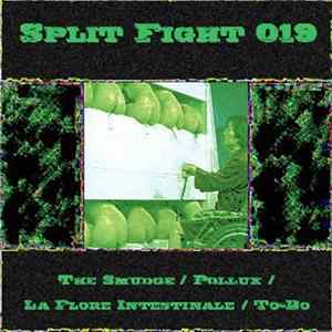 The Smudge / Pollux / La Flore Intestinale / To-Bo - Split Fight 019 Album