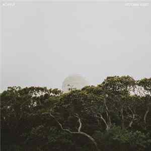 Vittoria Fleet - Acht LP Album