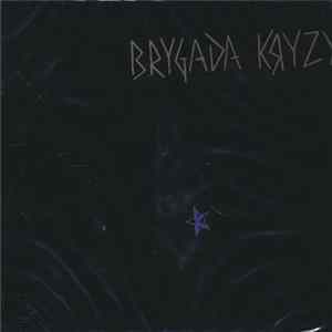 Brygada Kryzys - Brygada Kryzys Album