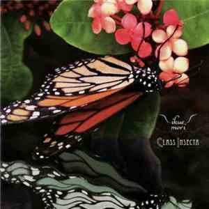 Ikue Mori - Class Insecta Album