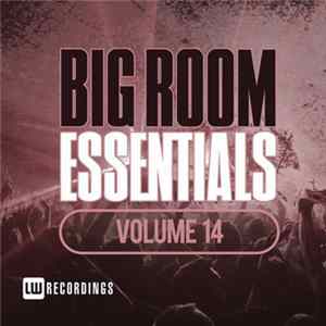 Various - Big Room Essentials Volume 14 Album