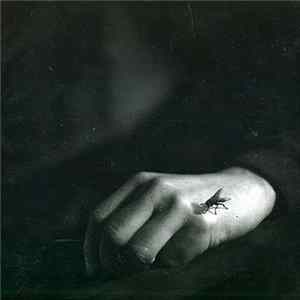 Colloquio - Si Muove E Ride Album