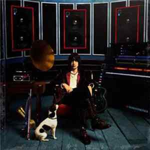 Julian Casablancas - Phrazes For The Young Album