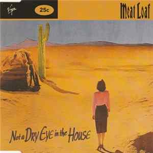 Meat Loaf - Not A Dry Eye In The House Album