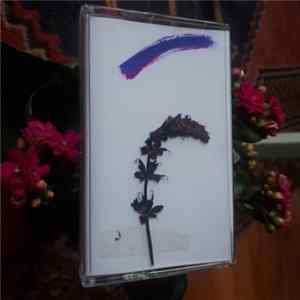Lust Rollers / Carnivorous Plants - Communal Gardens Album